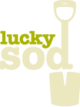 Lucky Sod